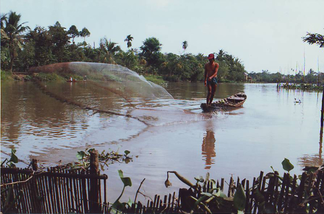 quangchai