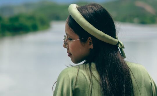 Hoang QWua6n ban long Thinh Nguyen Unsplash 540x331