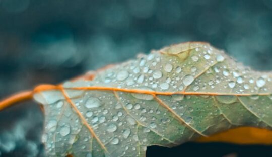 Mua thu Nong Unsplash 540x312