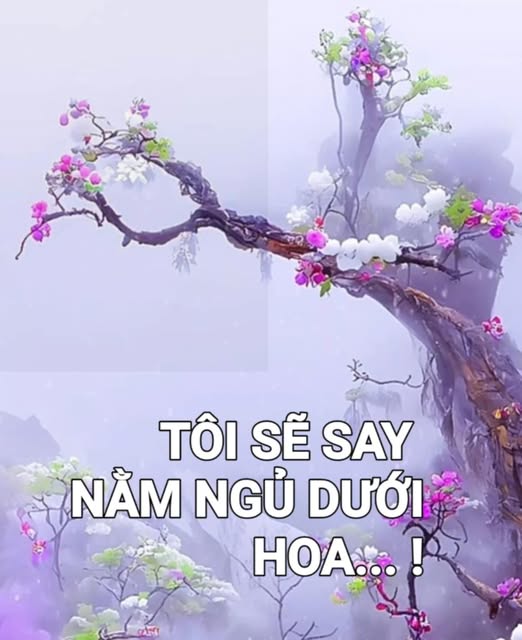 dinhhungphm