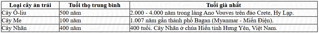 nguoivacaycoi 11a