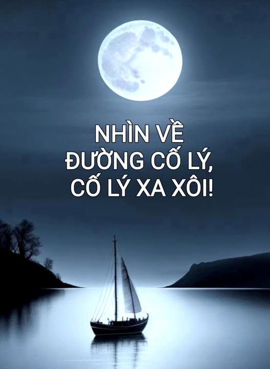 nhinveduongcolycolyxaxoi