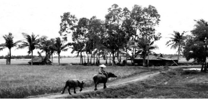 Vuong xu nguoi long huong que huong