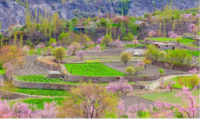 hunza7