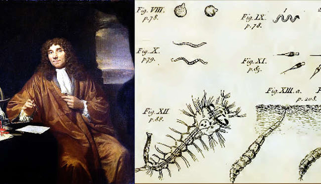 Anthonie van Leeuwenhoek