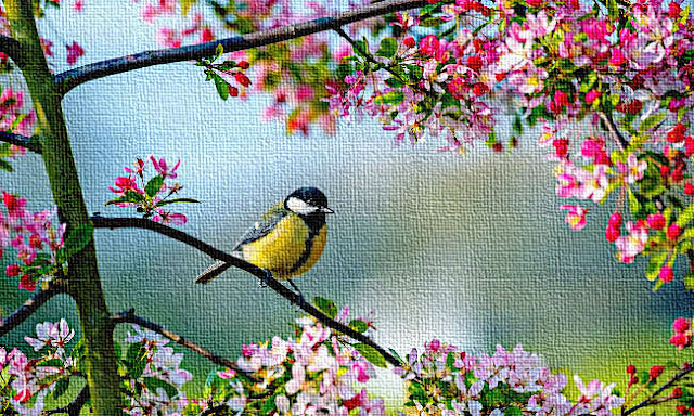 Spring Bird