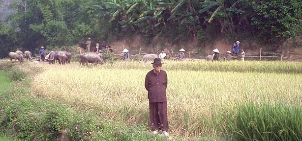 pham duy v qu 2003 20110310 1686654095