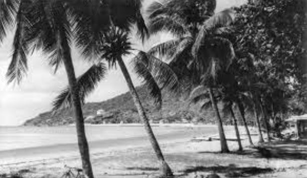 bienvungtauxua