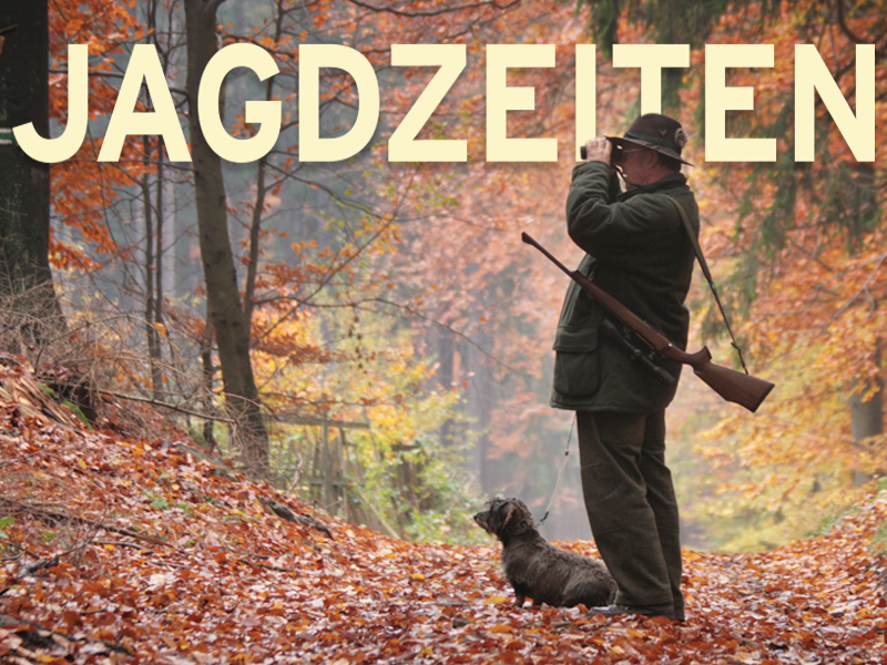 jagdzeiten kachel