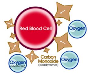 truyetcarbon2
