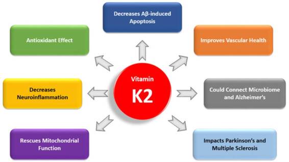 vitamin k2 5