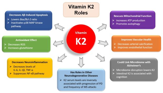 vitamin k2 7