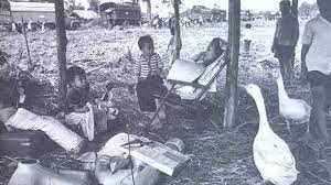 vungkinhtemoi