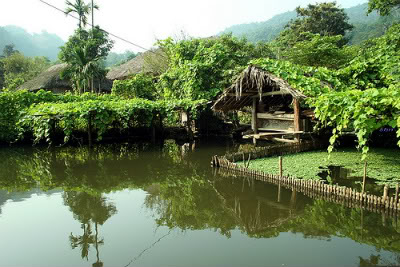 gianmuophuong