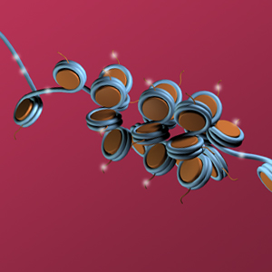Epigenome2