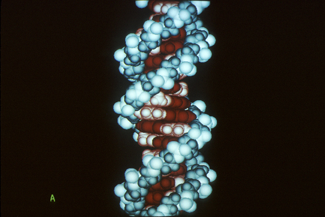 Epigenome4