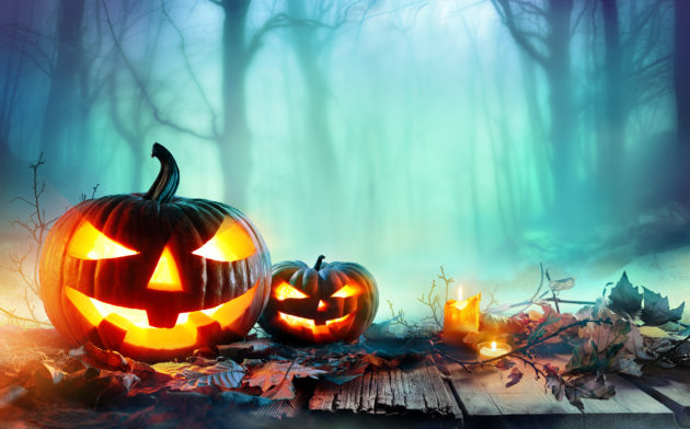 halloween kuerbis 630x392