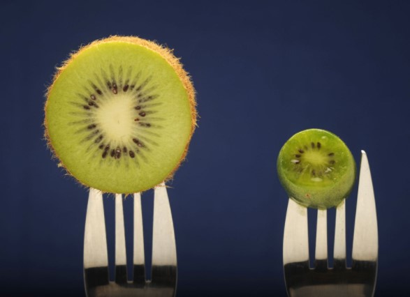 kiwi