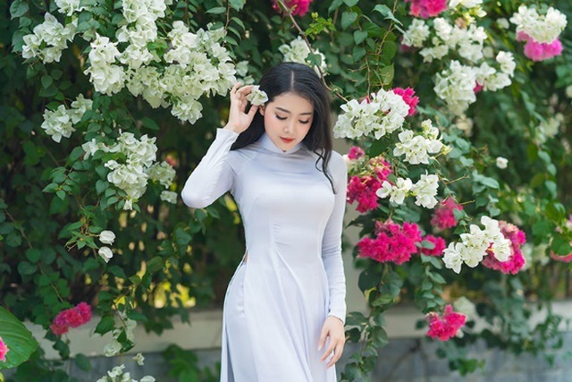 net xuan