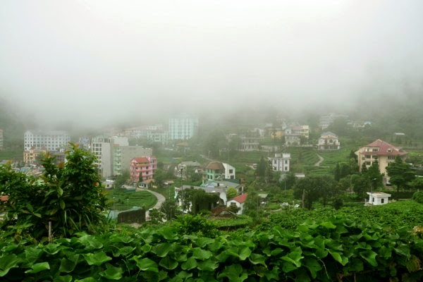 Cung Suong May Tam Dao