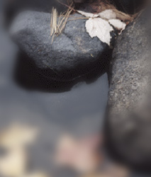 Một Phút Tư Duy