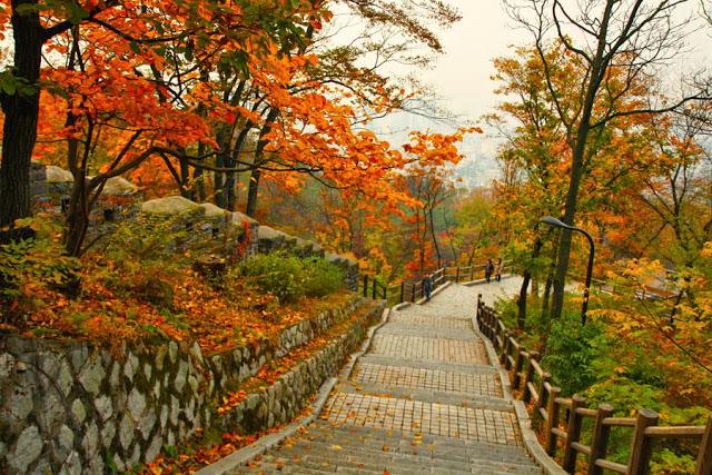 mua thu tai cong vien namsan