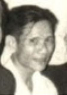 nguyensung