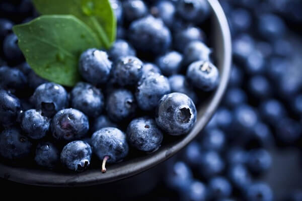 blue berry la qua gi tac dung 7