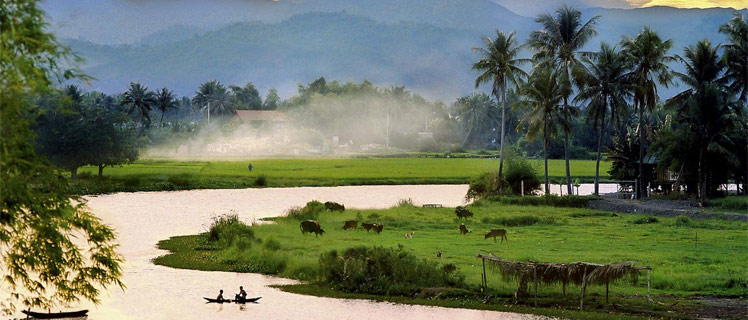 Vietnam Countryside