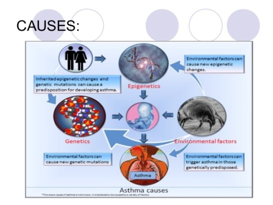 asthma ppt 8 638