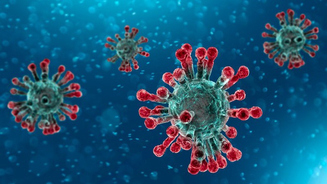 coronavirus 800x450
