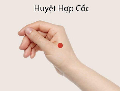 hopcoc