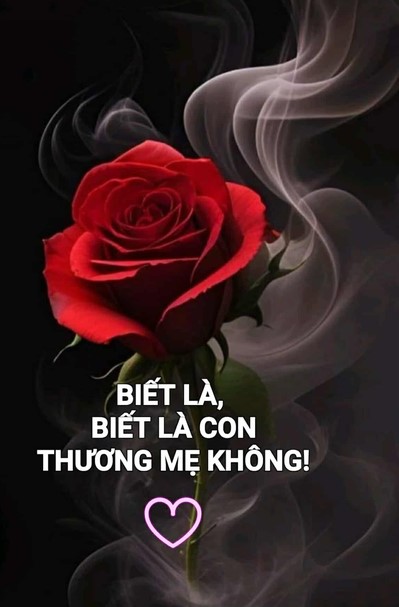 tungphientroimangbaonhothuong