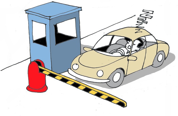 hai lua hoi nhap vao my2