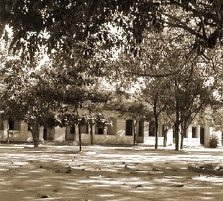 nangsantruongnamay