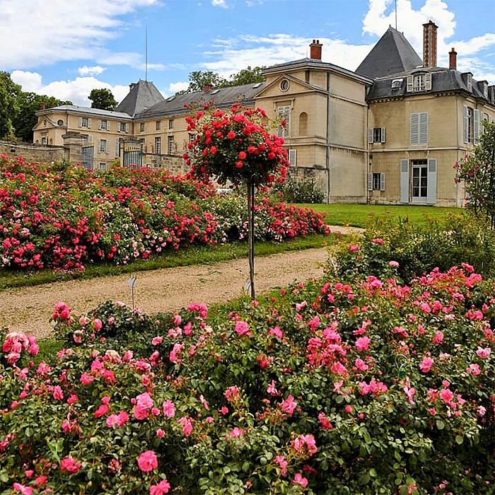 paris va nhung cau chuyen ky la ve nuoc hoa1