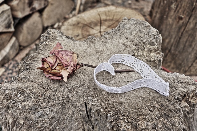 withered rose 5213386 640