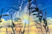 Rồi Như Gió Thu Mưa - Hoàng Uyển Văn