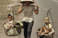 Đôi Quang Gánh Mẹ - Minh Thế Lê