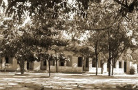 Nắng Sân Trường Năm Ấy - Lê Thi
