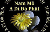 Vu Lan Nhớ Mẹ - Thân Bùi