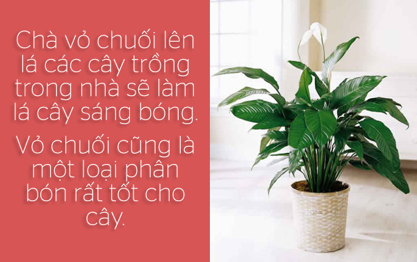 6 tien ich khong ngo toi cua vo chuoi1