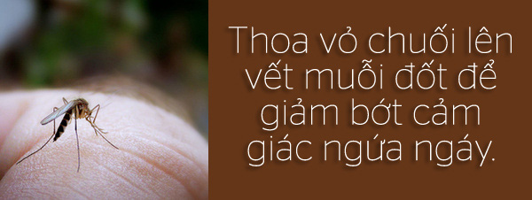 6 tien ich khong ngo toi cua vo chuoi6