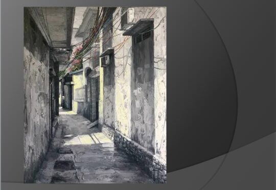 Hem SaiGon Facebook Viet Luan 540x372