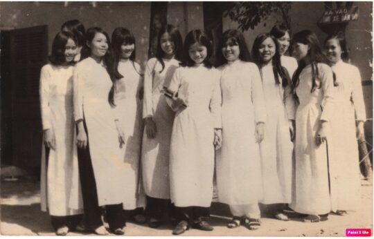 Thap nga tuoi nho 540x346