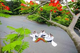 chiataymuahe