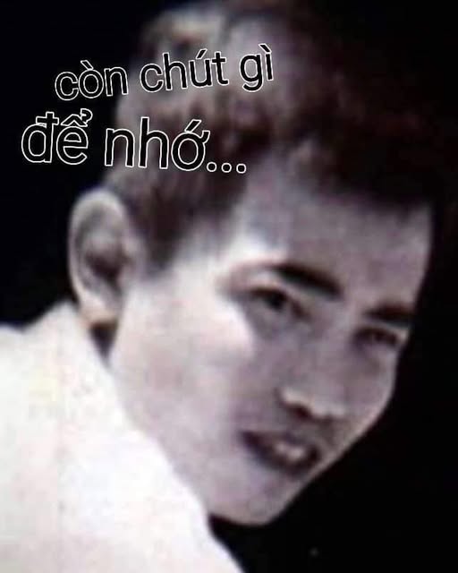 conchutgiadenho