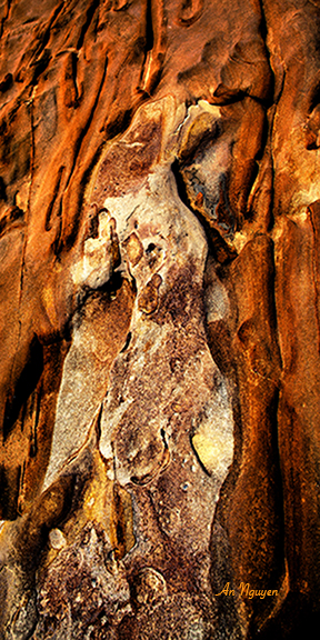 da doi anh cua an nguyen