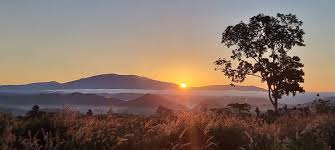 dacnong