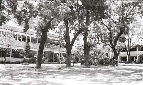 danangxua truongphanchautrinh